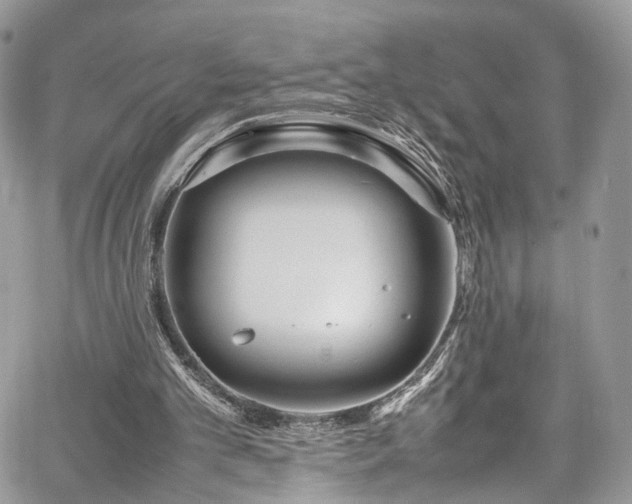 X0000067950101200604201441