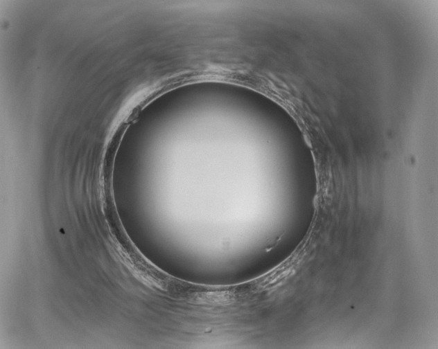 X0000067950102200604201441