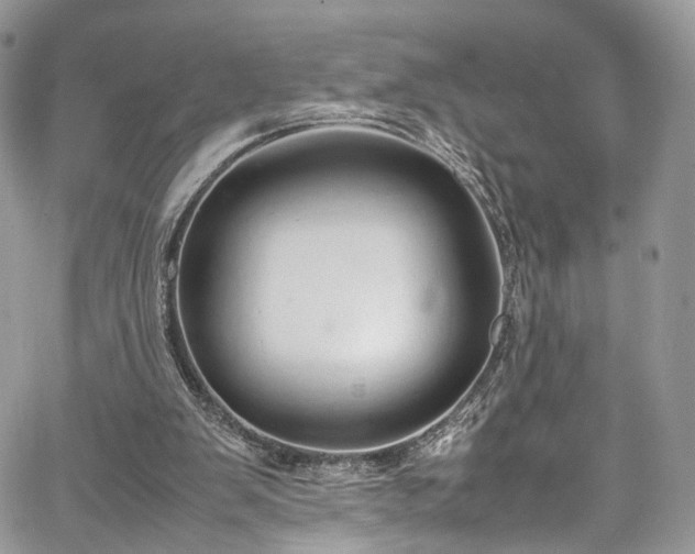 X0000067950103200604201441