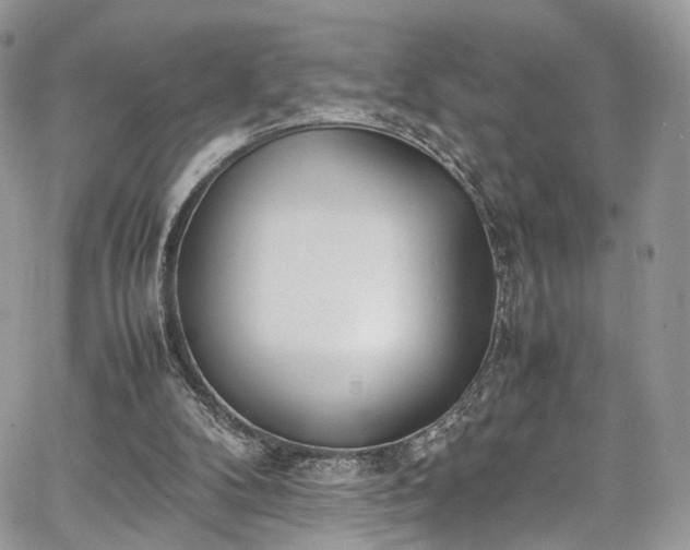 X0000067950104200604201441