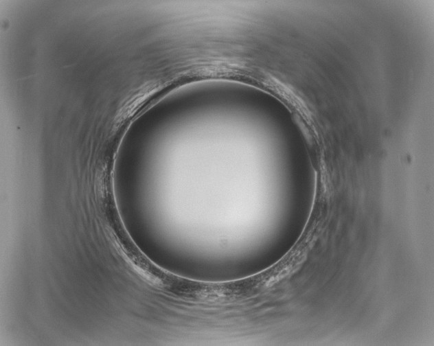 X0000067950105200604201441