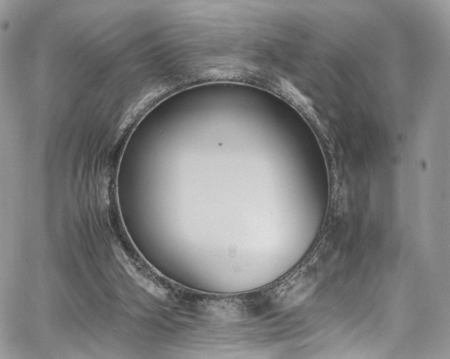 X0000067950106200604201441