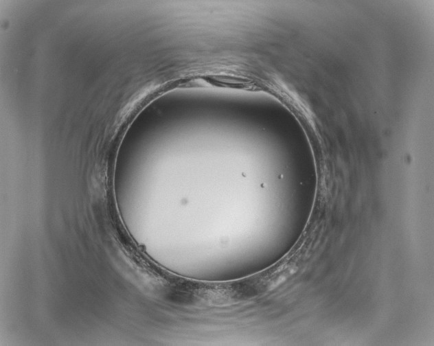 X0000067950107200604201441