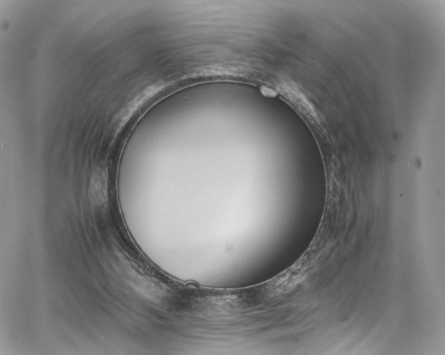 X0000067950108200604201441