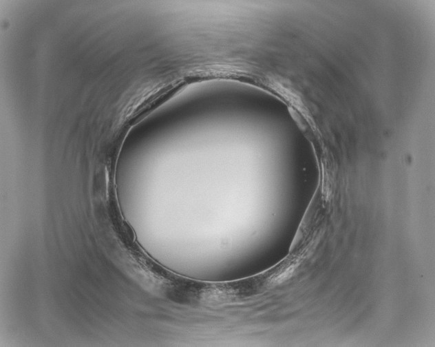 X0000067950109200604201441