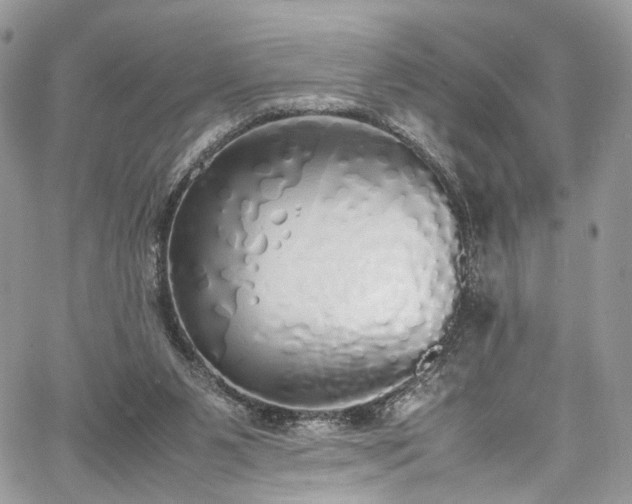 X0000067950111200604201441