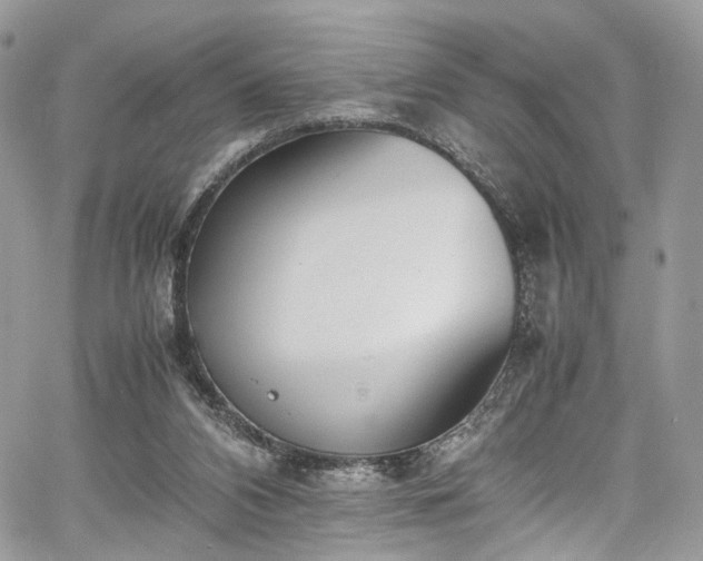 X0000067950112200604201441