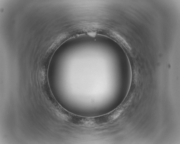 X0000067950113200604201441