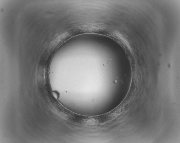 X0000067950115200604201441