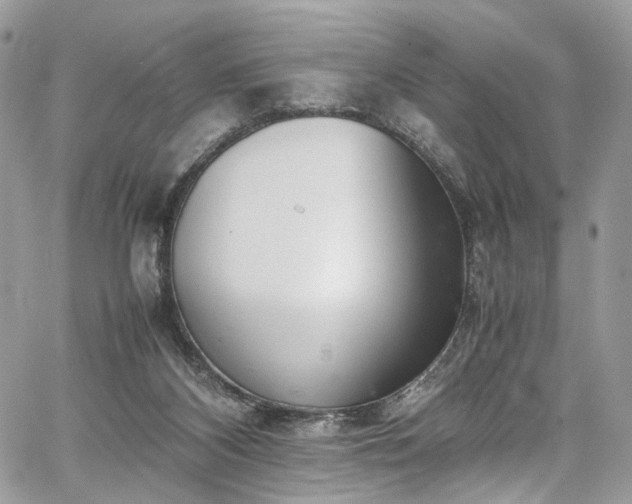 X0000067950116200604201441