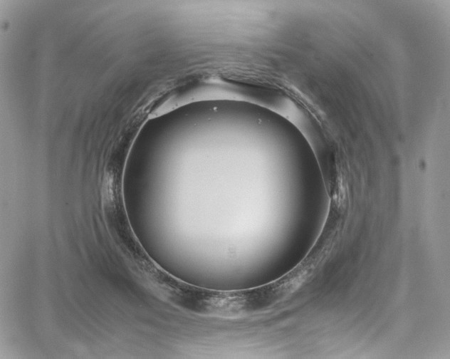 X0000067950117200604201441