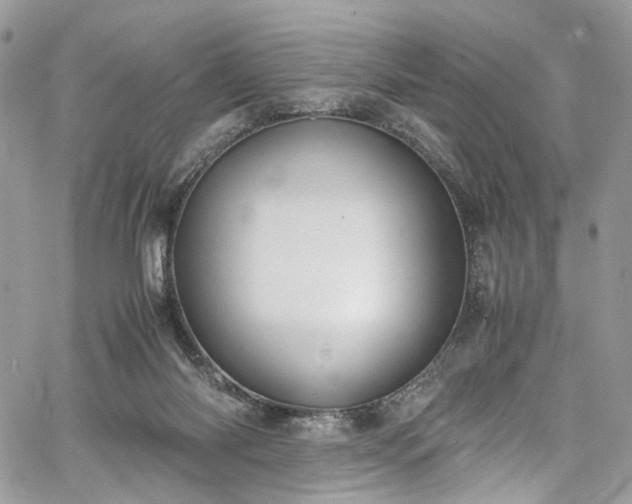 X0000067950118200604201441