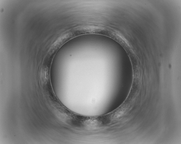 X0000067950119200604201441