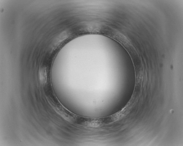 X0000067950120200604201441