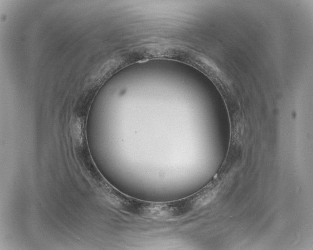 X0000067950121200604201441