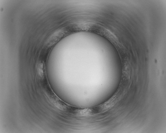 X0000067950122200604201441