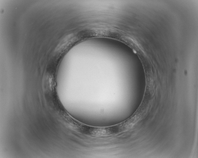 X0000067950123200604201441