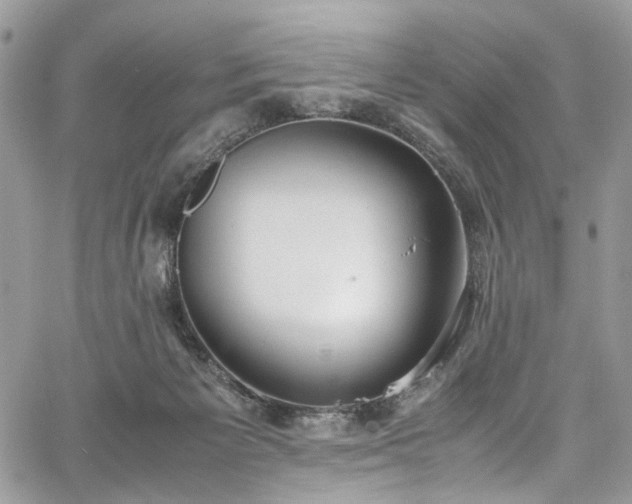 X0000067950125200604201441