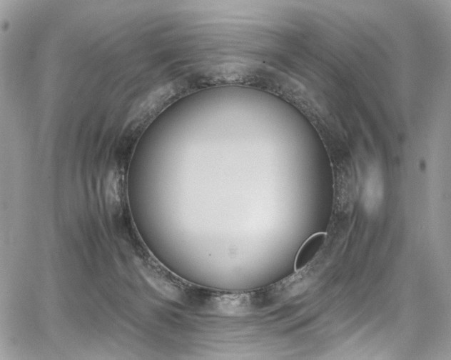 X0000067950126200604201441