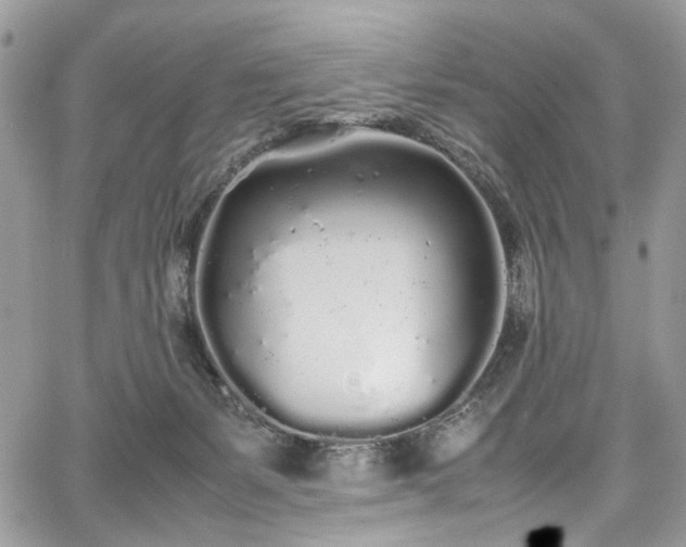 X0000067950127200604201441