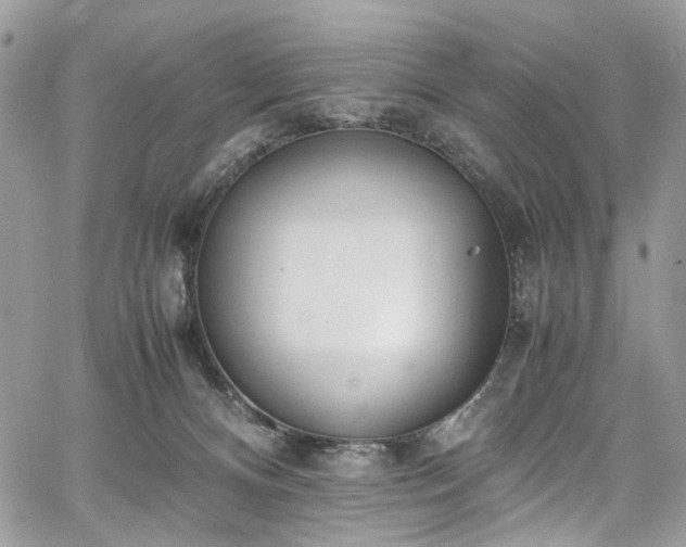 X0000067950128200604201441