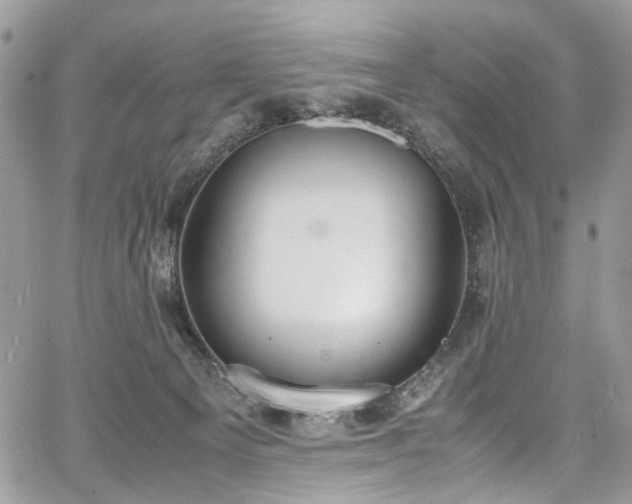 X0000067950129200604201441