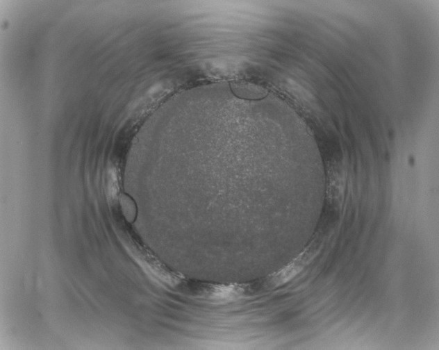 X0000067950130200604201441