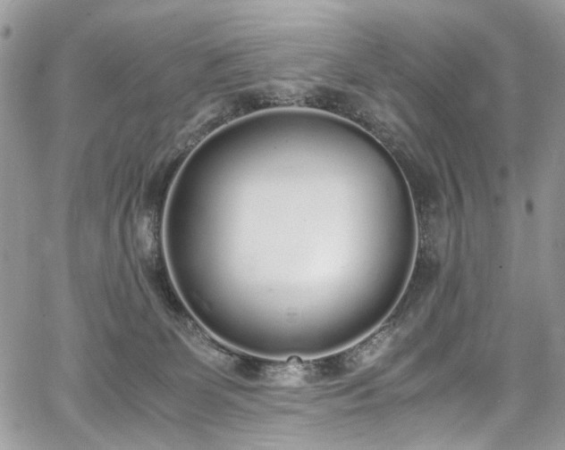 X0000067950131200604201441