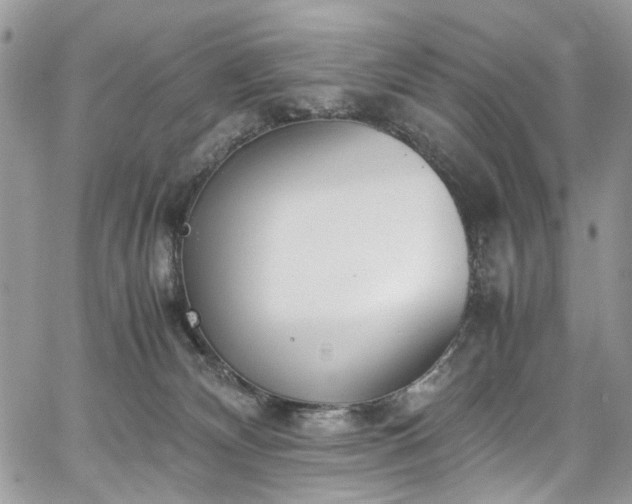 X0000067950132200604201441