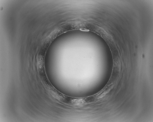 X0000067950133200604201441