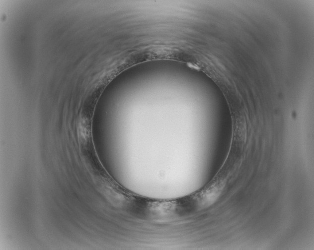 X0000067950135200604201441