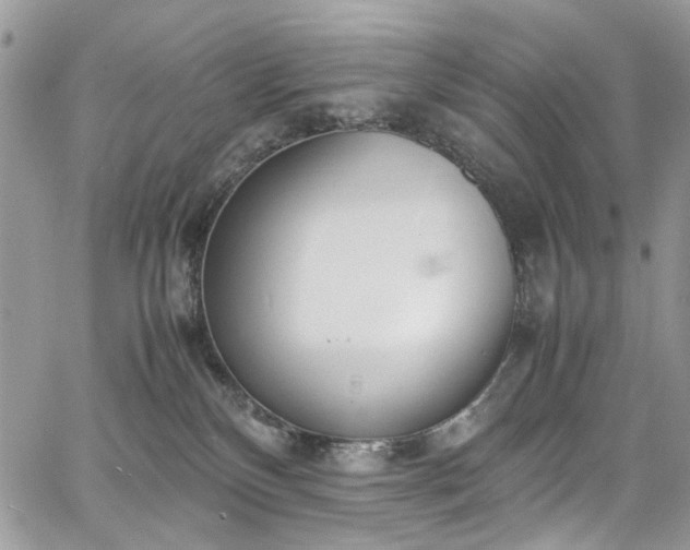 X0000067950136200604201441