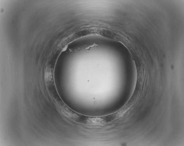 X0000067950137200604201441