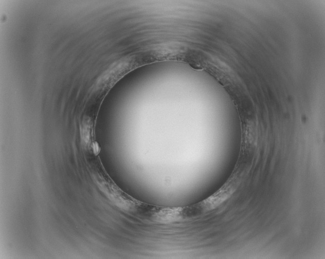 X0000067950138200604201441