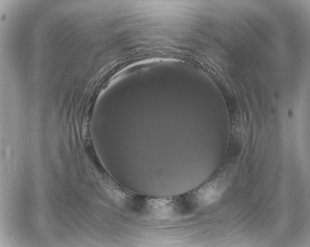 X0000067950139200604201441