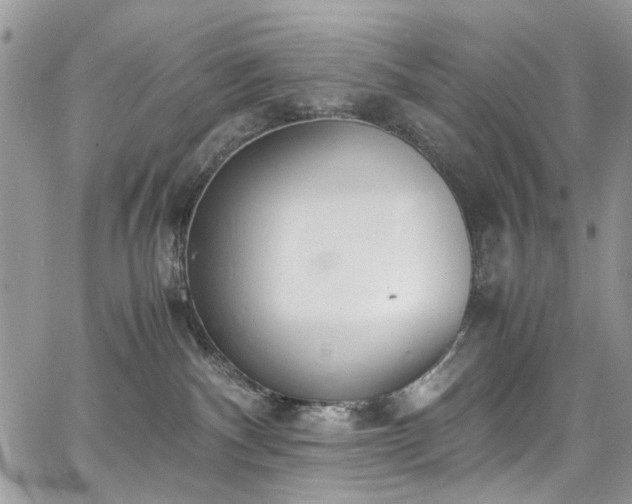 X0000067950140200604201441