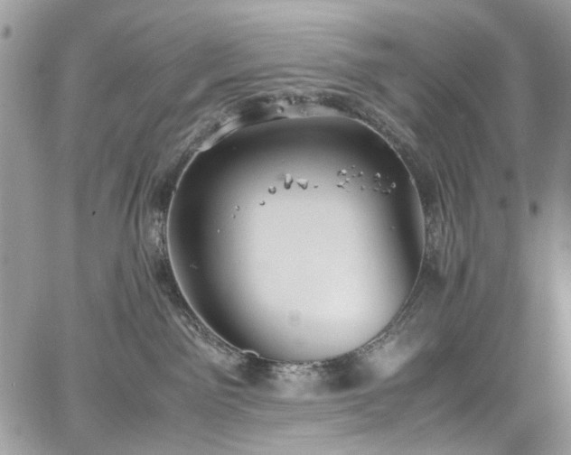 X0000067950141200604201441