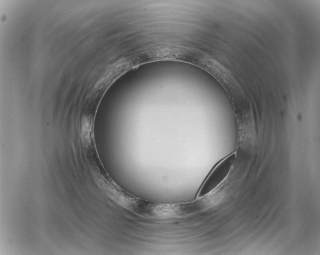 X0000067950142200604201441