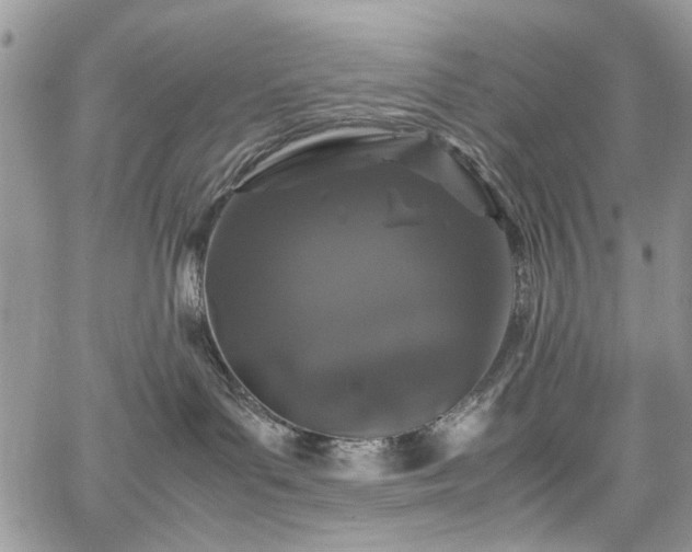 X0000067950143200604201441