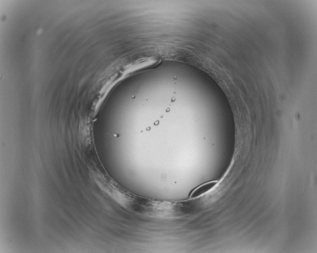 X0000067950144200604201440