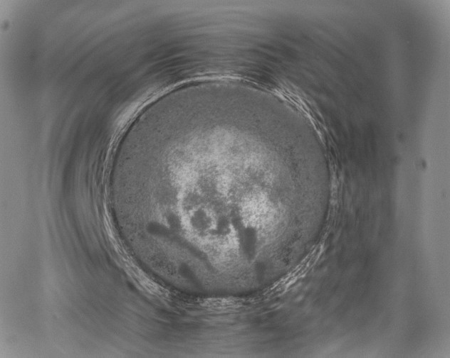 X0000067950145200604201440