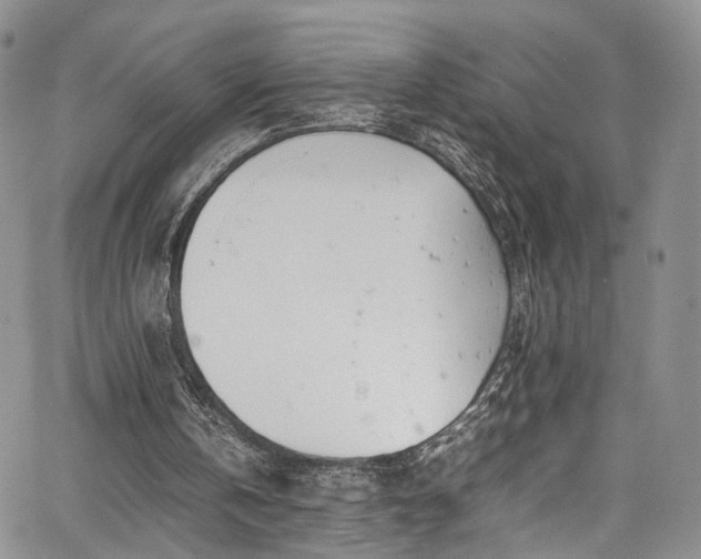 X0000067950146200604201440