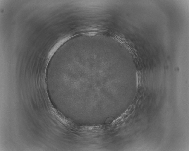 X0000067950147200604201440