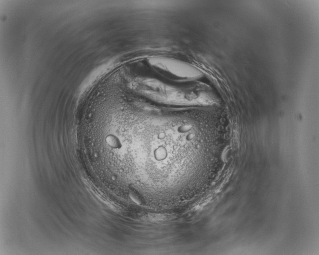 X0000067950149200604201440