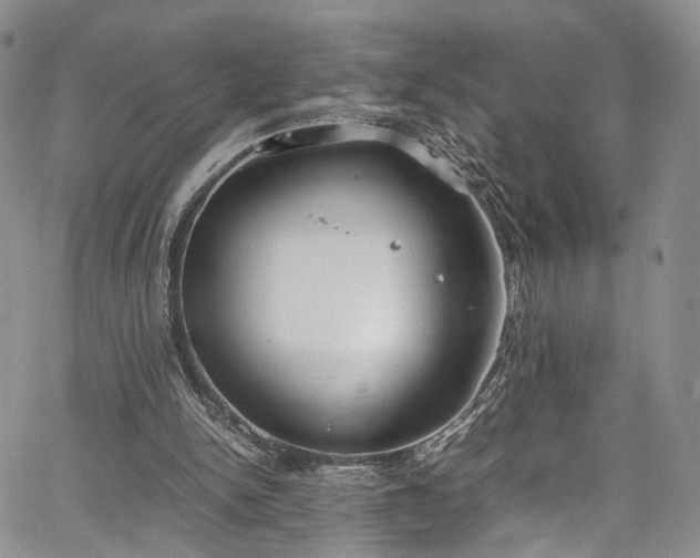 X0000067950150200604201440