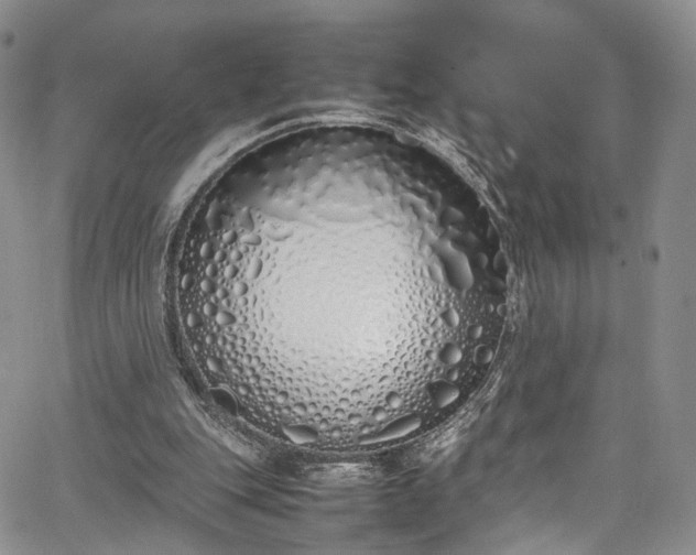 X0000067950151200604201440