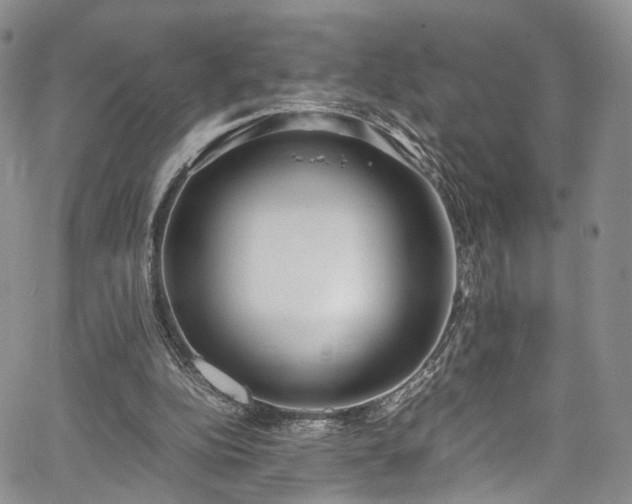 X0000067950152200604201440