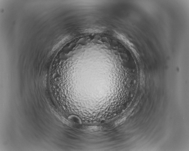 X0000067950153200604201440