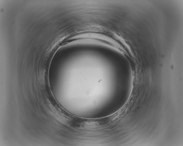 X0000067950154200604201440