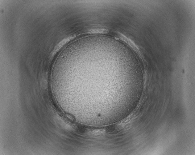 X0000067950155200604201440